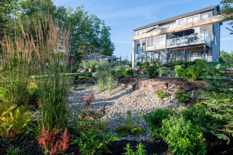 Rain garden